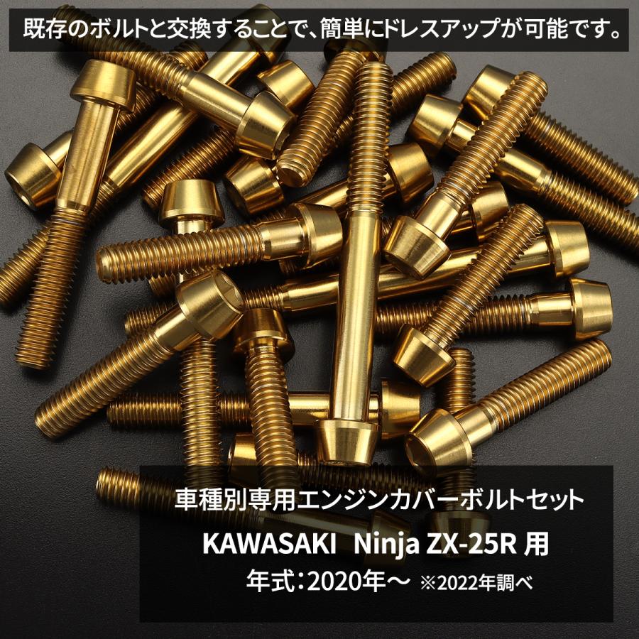 カワサキ ニンジャ ZX-25R Ninja エンジンカバー クランクケース