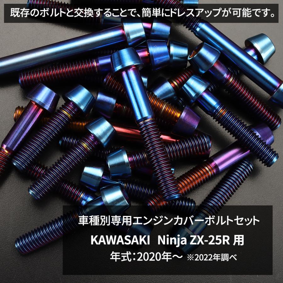 カワサキ ニンジャ ZX-25R Ninja エンジンカバー クランクケース カワサキ ニンジャ ZX-25R Ninja エンジンカバー クランクケース