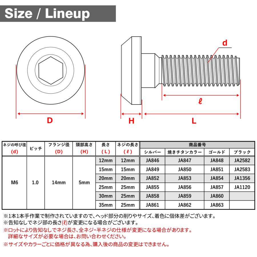 チタンボルト M6×15mm P1.0 テーパーヘッド 六角穴 ボタンボルト レインボー 1個 JA850 | TECHーMASTER | 04