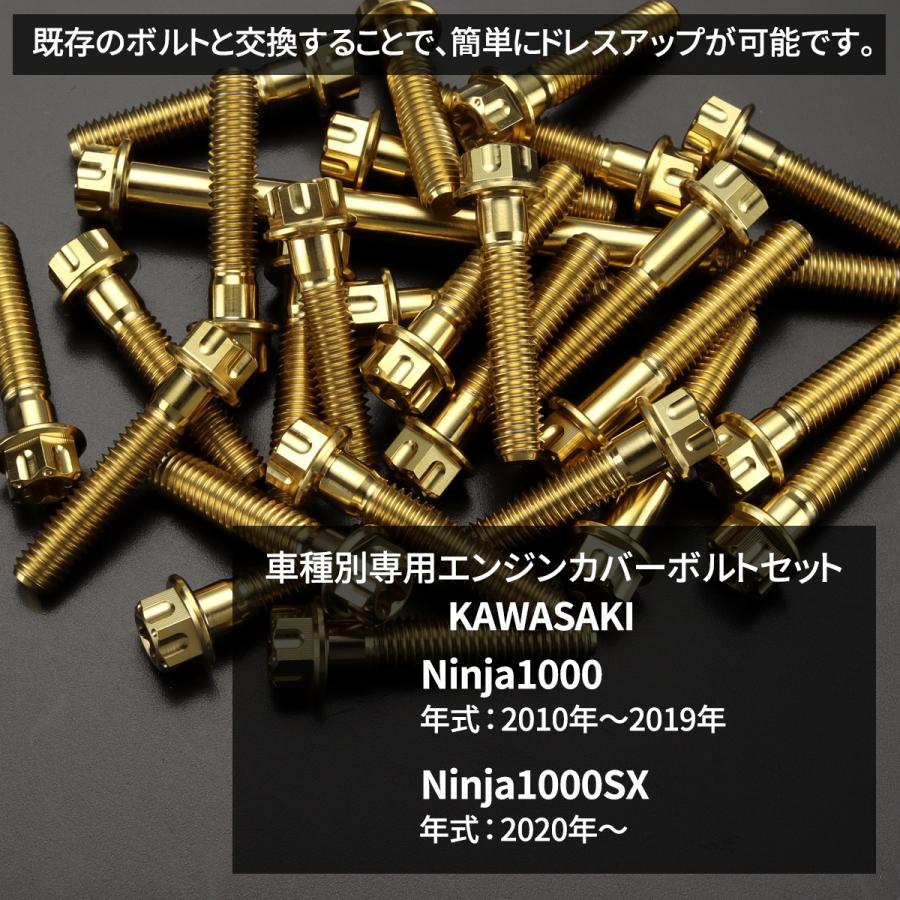TECHーMASTER（テックマスター） ニンジャ1000/SX Ninja エンジン