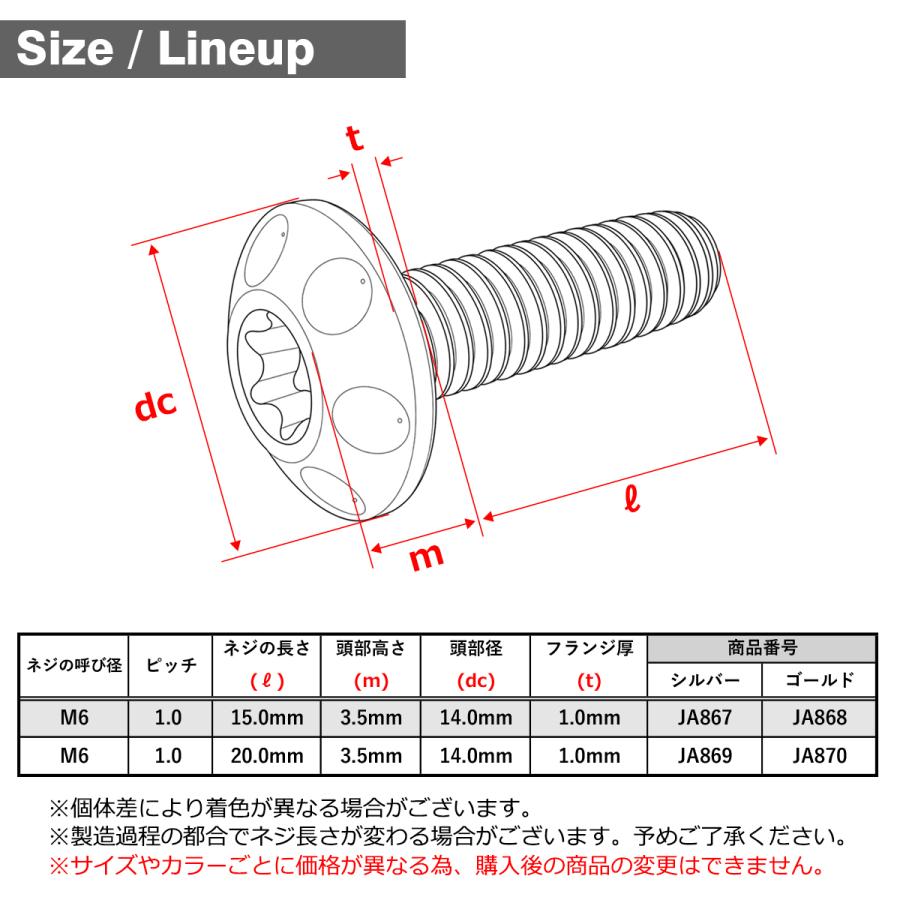 チタンボルト M6×20mm P1.0 ボタンボルト トルクス穴 ワイドフランジ シルバーカラー 1個 JA869 | TECHーMASTER | 01