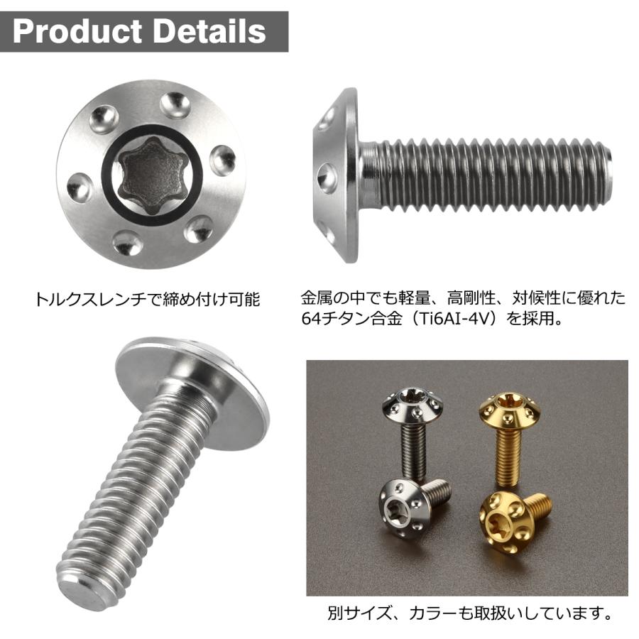 チタンボルト M6×20mm P1.0 ボタンボルト トルクス穴 ワイドフランジ シルバーカラー 1個 JA869 | TECHーMASTER | 02