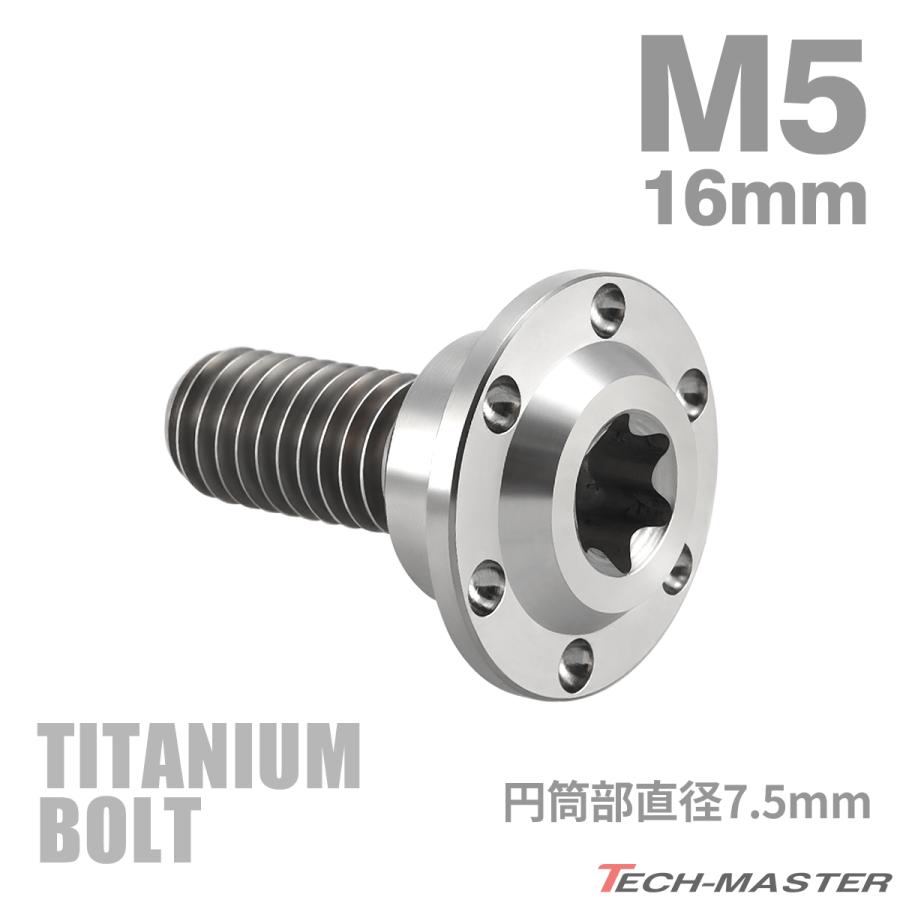 TECHーMASTER（テックマスター） チタンボルト M5×16mm P0.8 円筒部
