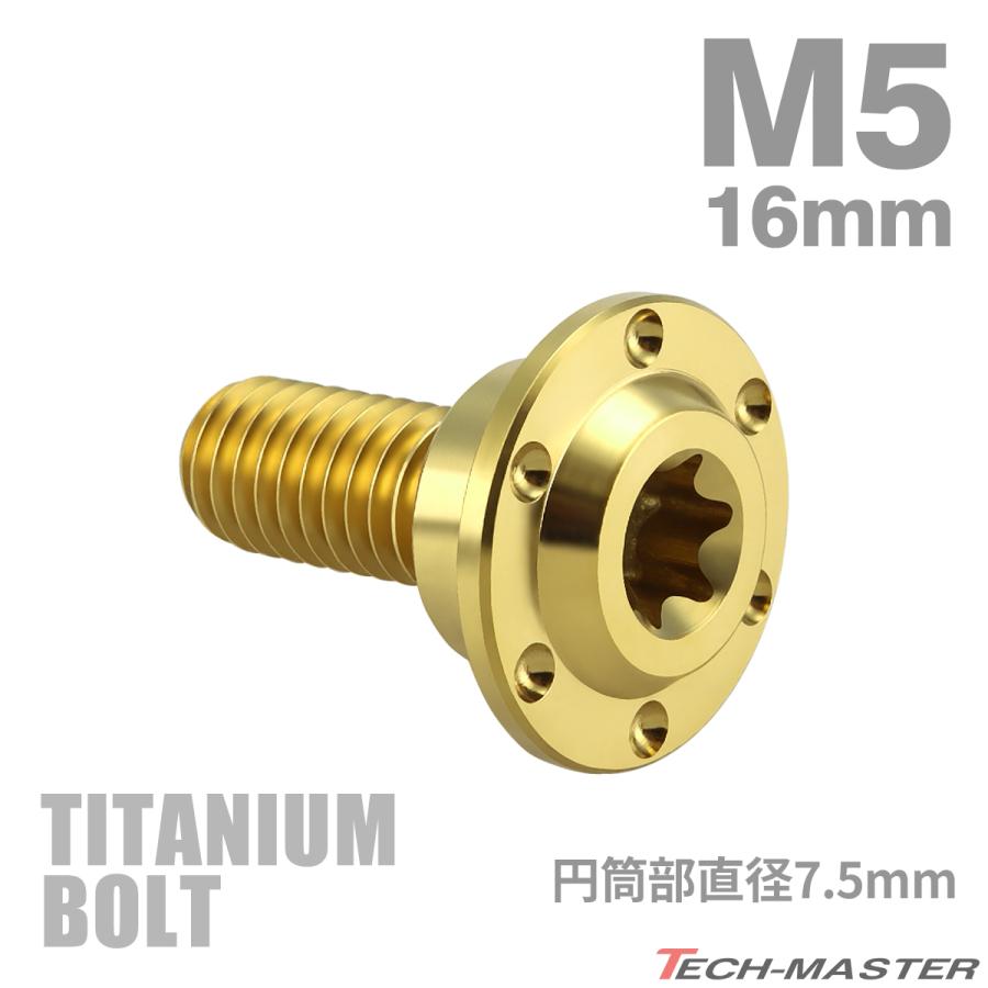 TECHーMASTER（テックマスター） チタンボルト M5×16mm P0.8 円筒部