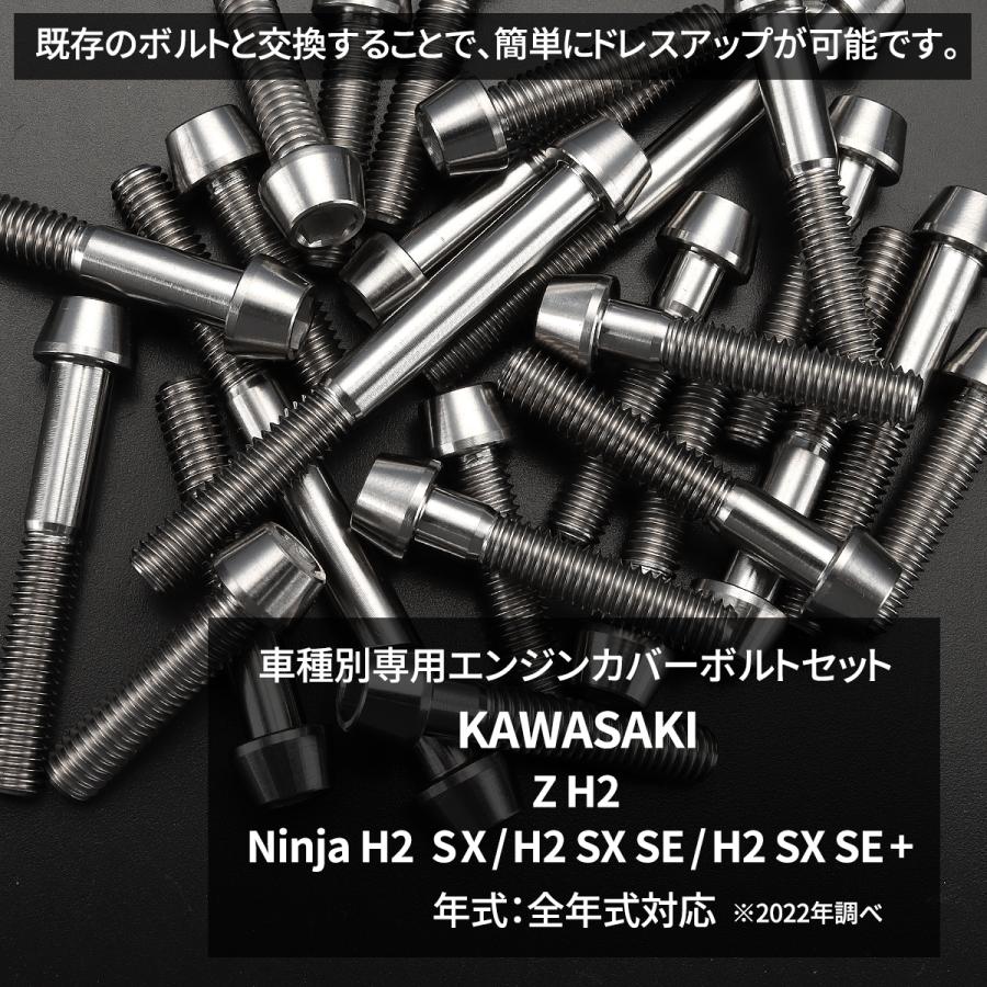 スカッド01R 2本セット Kawasaki Ninja H2 SX SE | POWERBOXメガホン チタンブルー(2BL
