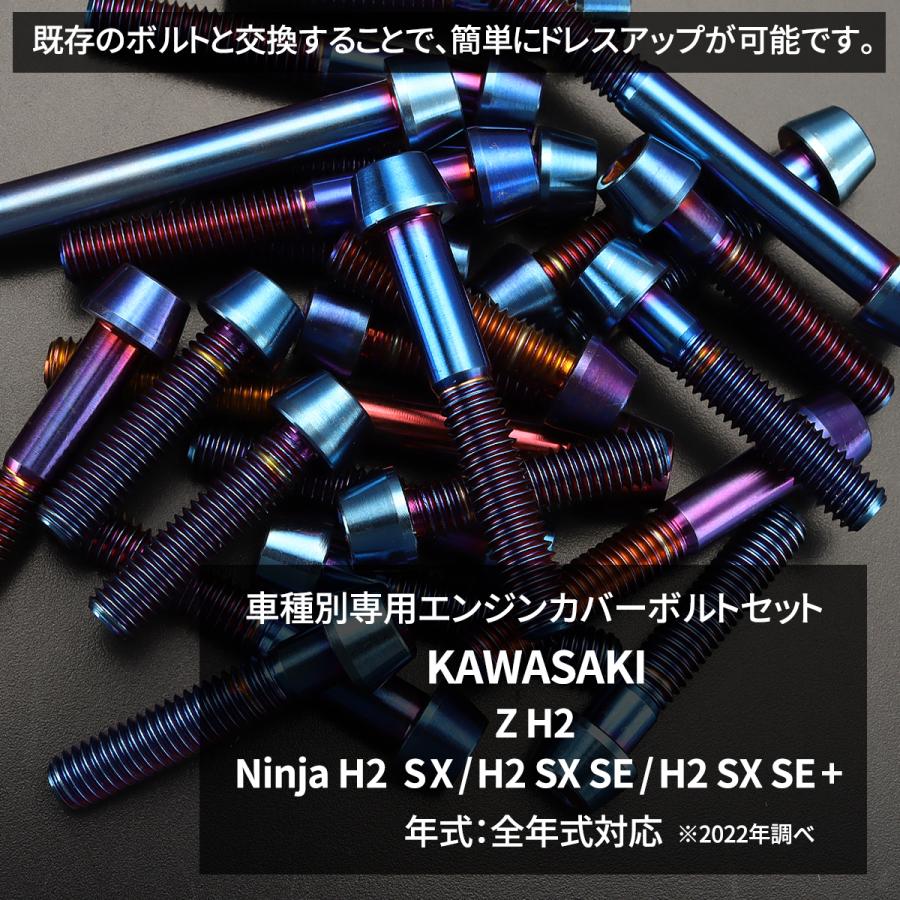 カワサキ Z H2/Ninja H2 SX/H2 SX SE/H2 SE+ エンジンカバー