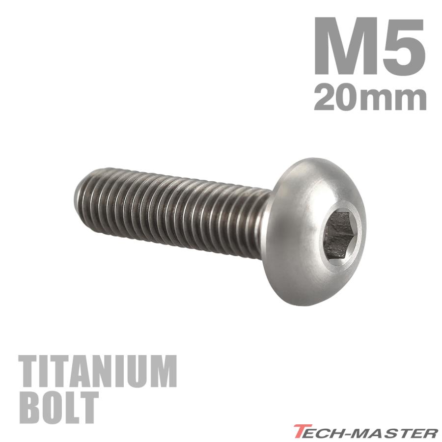 チタンボルト M5×20mm P0.8 トラスヘッド 六角穴付き シルバー 1個 JA897 | TECHーMASTER