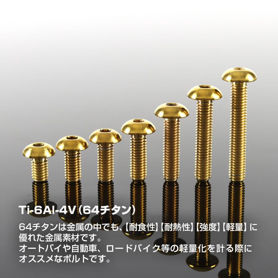 チタンボルト M5×20mm P0.8 トラスヘッド 六角穴付き ゴールド 1個 JA899 | TECHーMASTER | 01