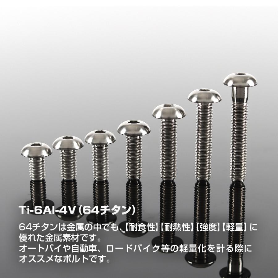 チタンボルト M5×25mm P0.8 トラスヘッド 六角穴付き シルバー 1個 JA900 | TECHーMASTER | 01