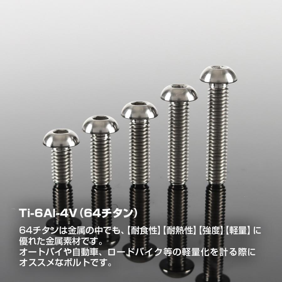 チタンボルト M6×12mm P1.0 トラスヘッド 六角穴付き ボタンボルト シルバーカラー 1個 JA906 | TECHーMASTER | 01