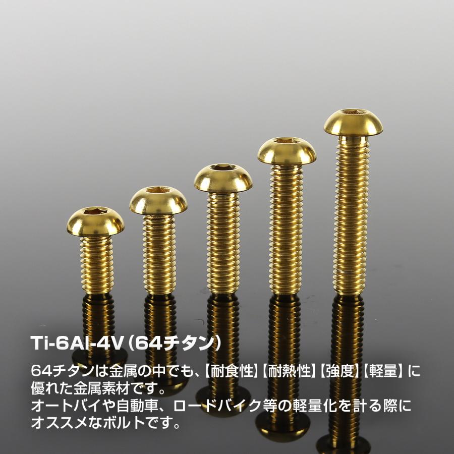 チタンボルト M6×12mm P1.0 トラスヘッド 六角穴付き ボタンボルト ゴールドカラー 1個 JA908 | TECHーMASTER | 01