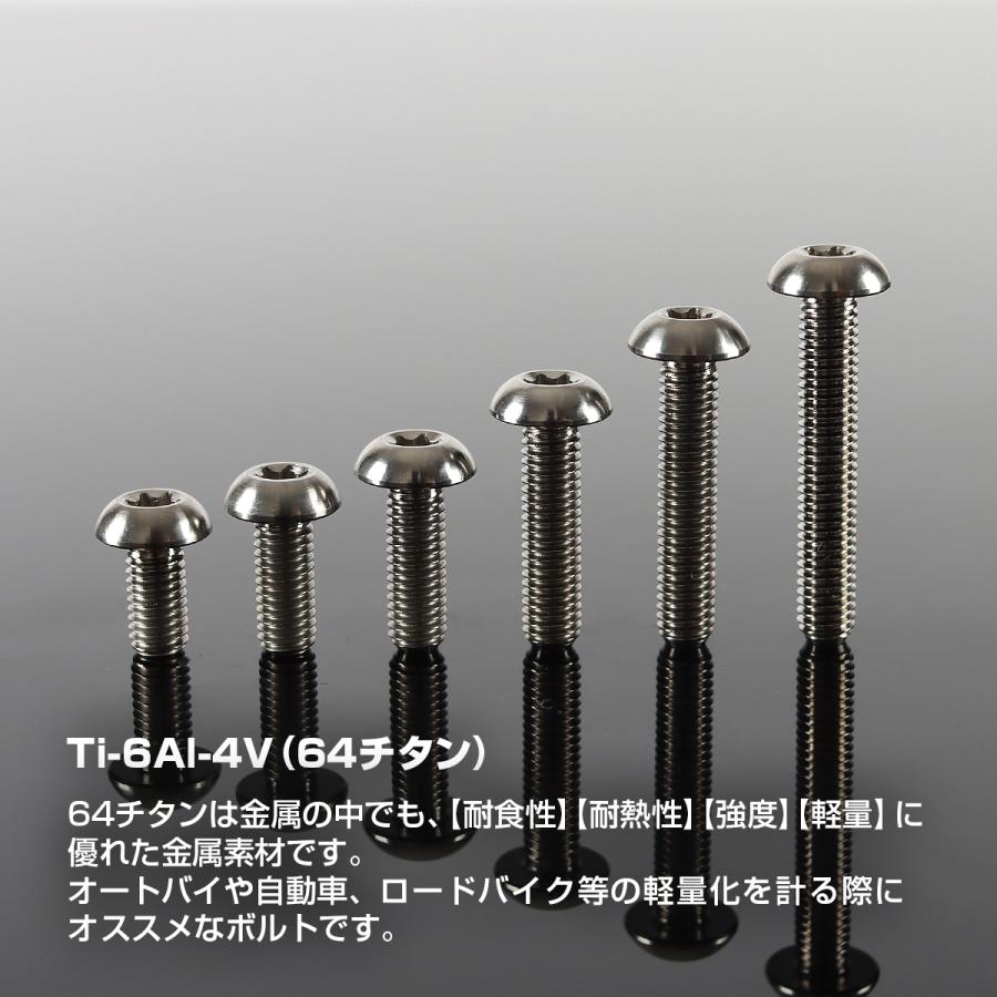 チタンボルト M5×20mm P0.8 トラスヘッド トルクス穴付き シルバーカラー 1個 JA933 | TECHーMASTER | 01