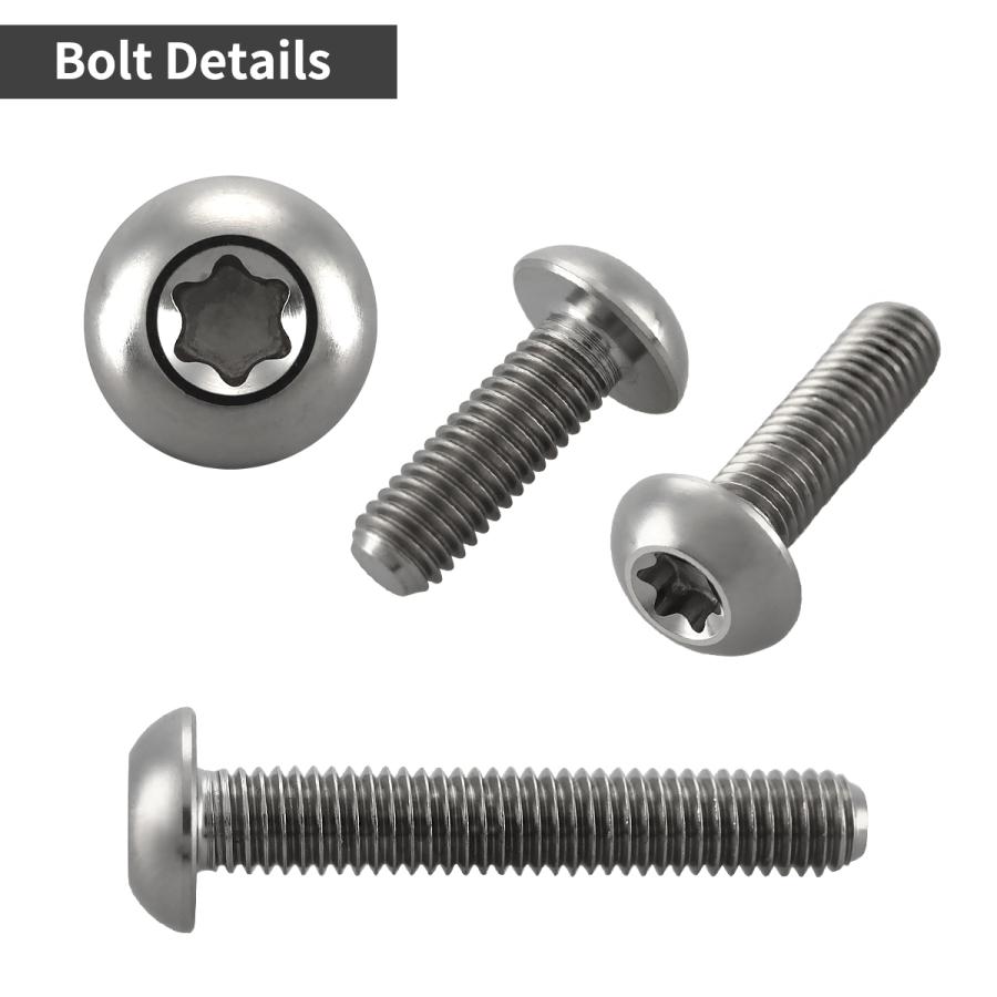 チタンボルト M5×20mm P0.8 トラスヘッド トルクス穴付き シルバーカラー 1個 JA933 | TECHーMASTER | 02
