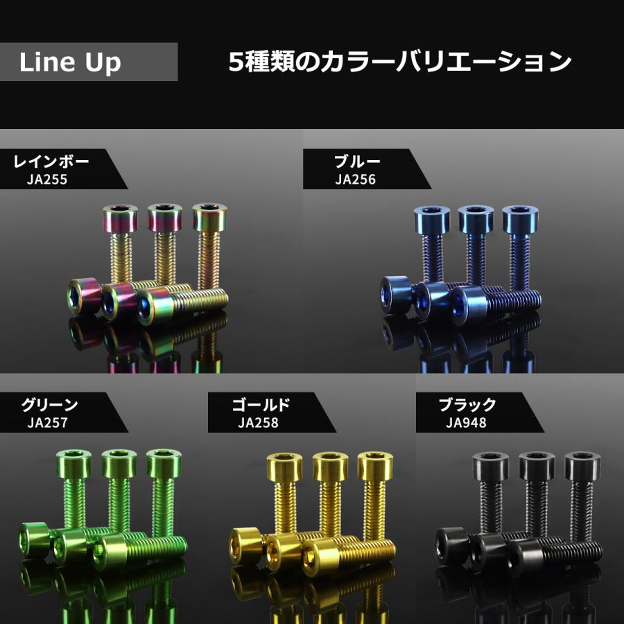 wanpakuさま専用 カワサキ タンクキャップ チタンボルト バイク 6穴用 ブラック 6