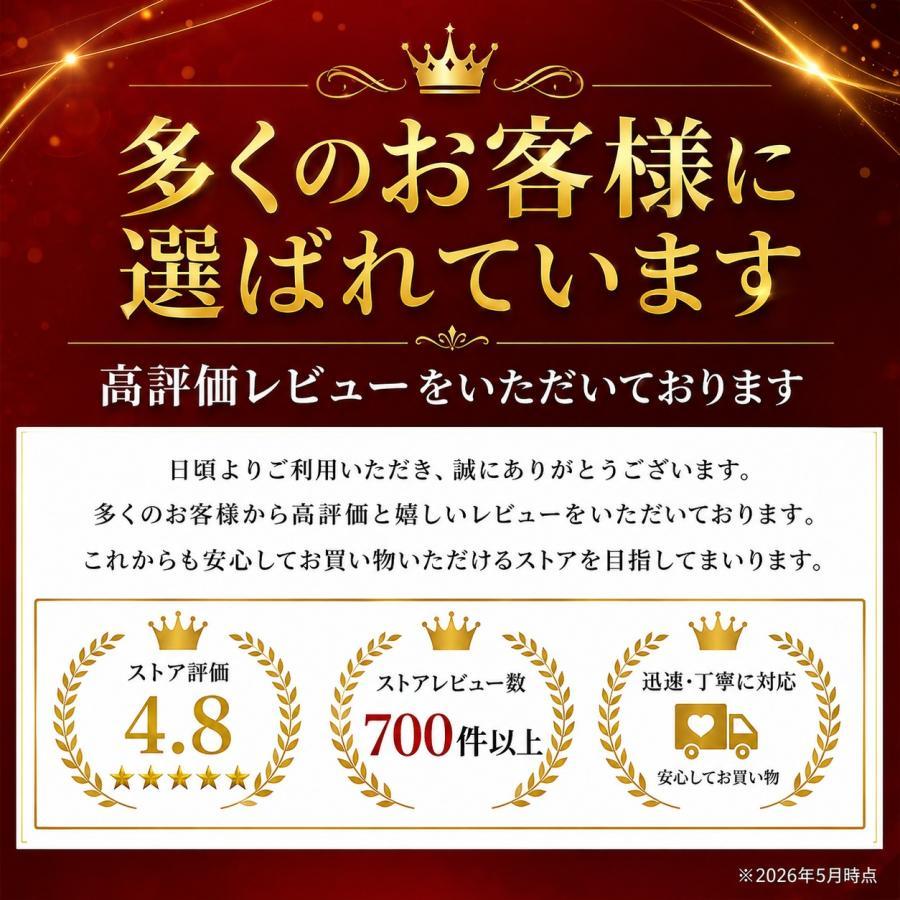 TECHーMASTER（テックマスター） ZX-25R SE ZX-25RR 2020-2027年 ZX-4R