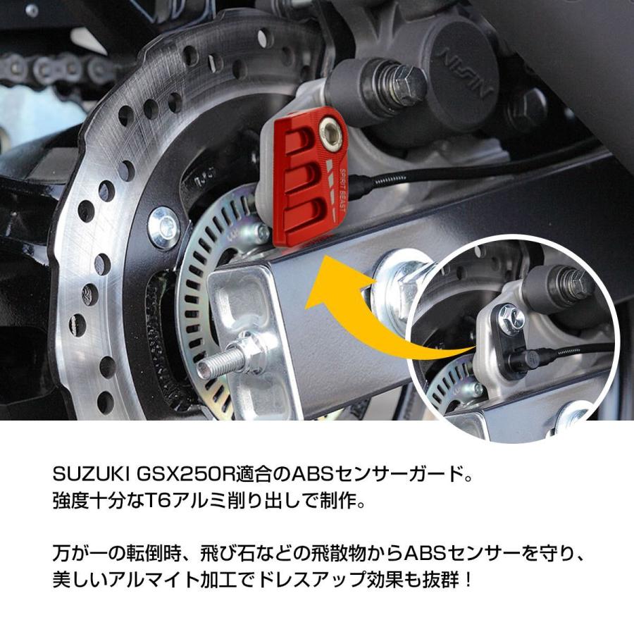 GSX250R ABS センサー ガード スズキ GSX250R ABS 全4色｜tmst｜02