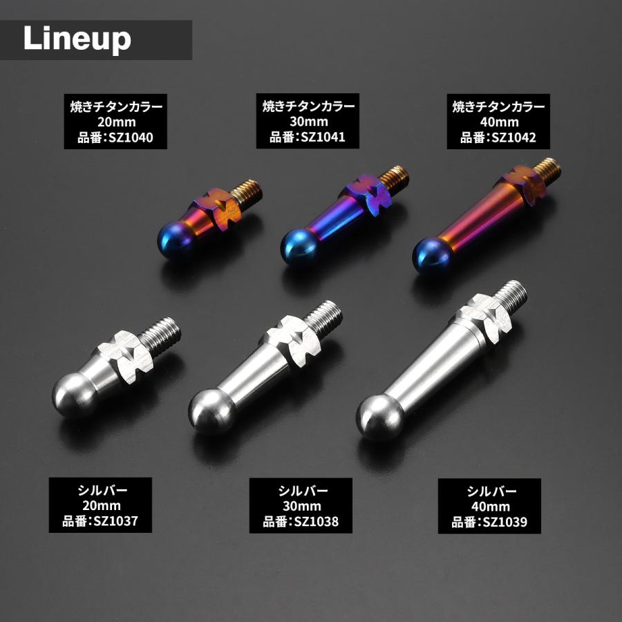 バンクセンサーボルト 汎用 30mm M6 ステンレス製 シルバー