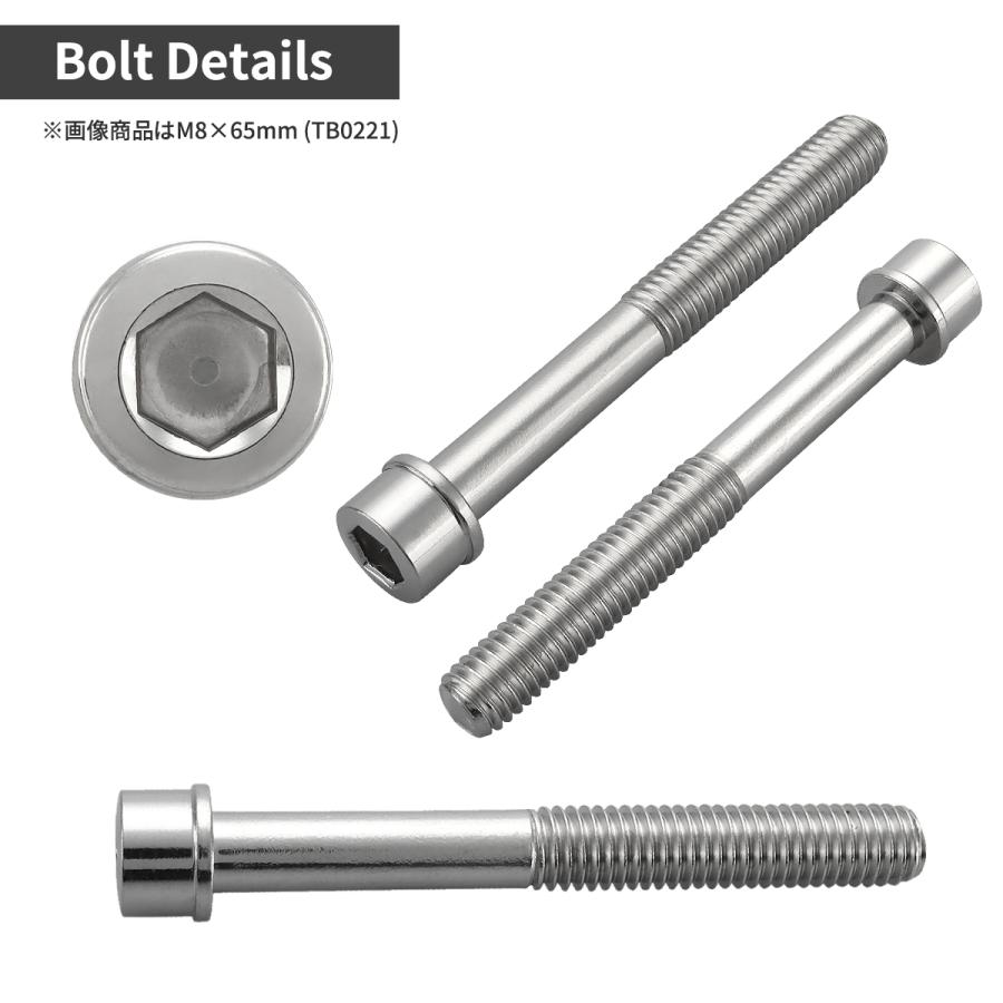 ステンレスボルト M8×60mm P1.25 スリムヘッド キャップボルト シルバーカラー TB0220 | TECHーMASTER | 01