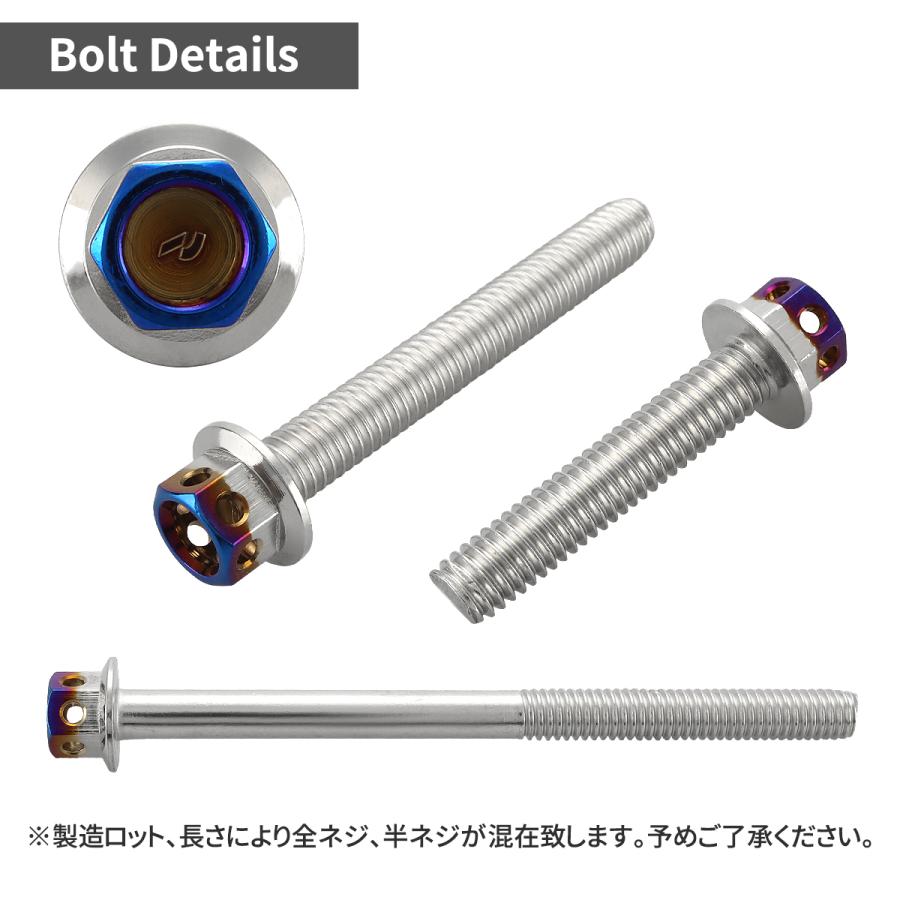 ステンレスボルト M6×20mm P1.0 六角ボルト ヘキサゴンヘッド シルバー×焼きチタンカラー TB0663 | TECHーMASTER | 01
