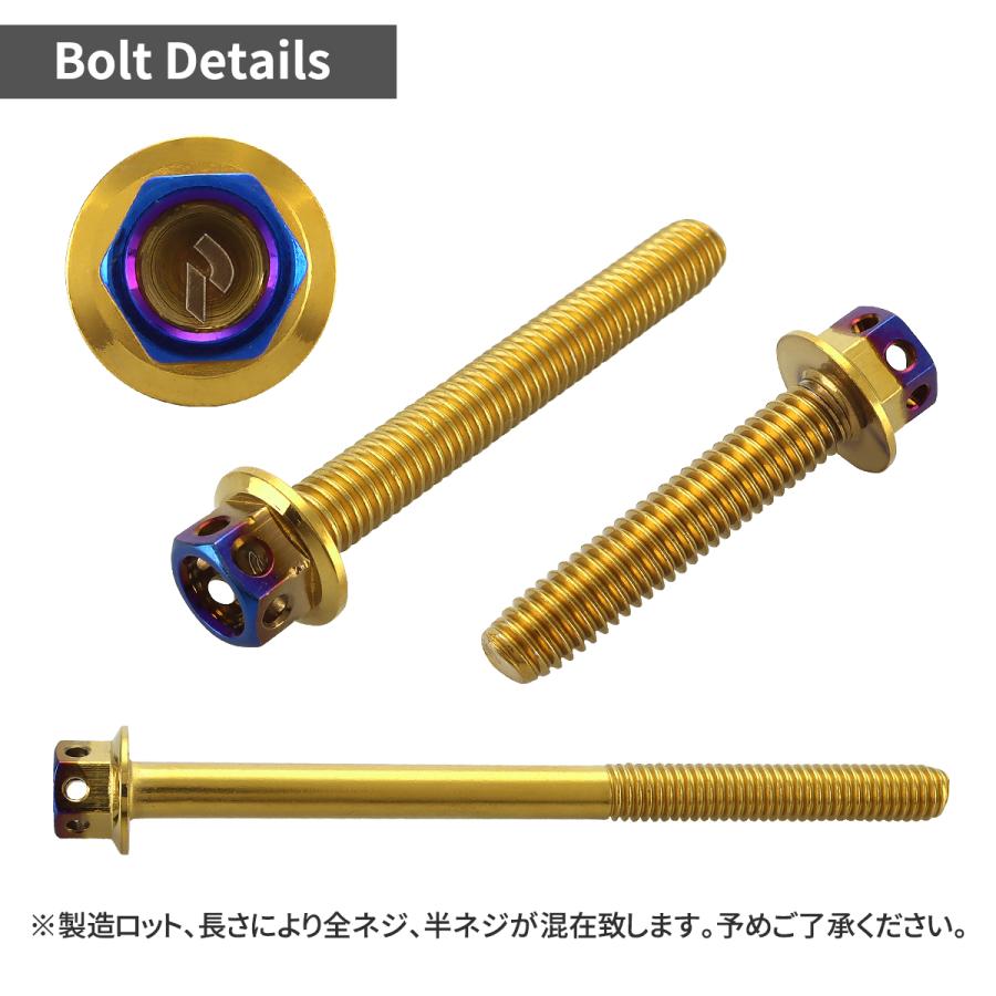 ステンレスボルト M6×20mm P1.0 六角ボルト ヘキサゴンヘッド ゴールド×焼きチタンカラー TB0786 | TECHーMASTER | 01