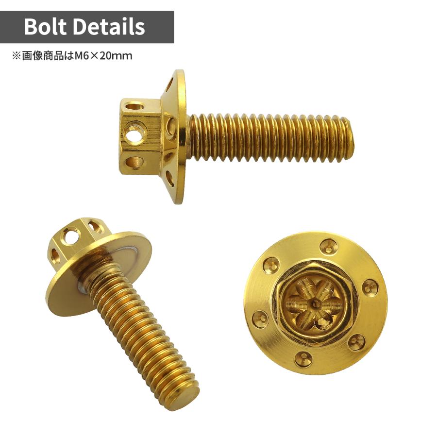 ステンレスボルト M6×20mm P1.0 六角ボルト ワイドフランジ フラワーヘッド ゴールドカラー TB0963 | TECHーMASTER | 01