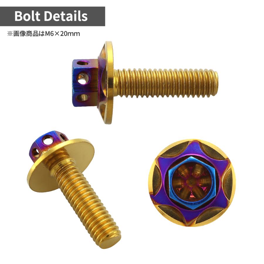ステンレスボルト M6×15mm P1.0 六角ボルト ワイドフランジ スターフラワーヘッド ゴールド×焼きチタンカラー TB1002 | TECHーMASTER | 01