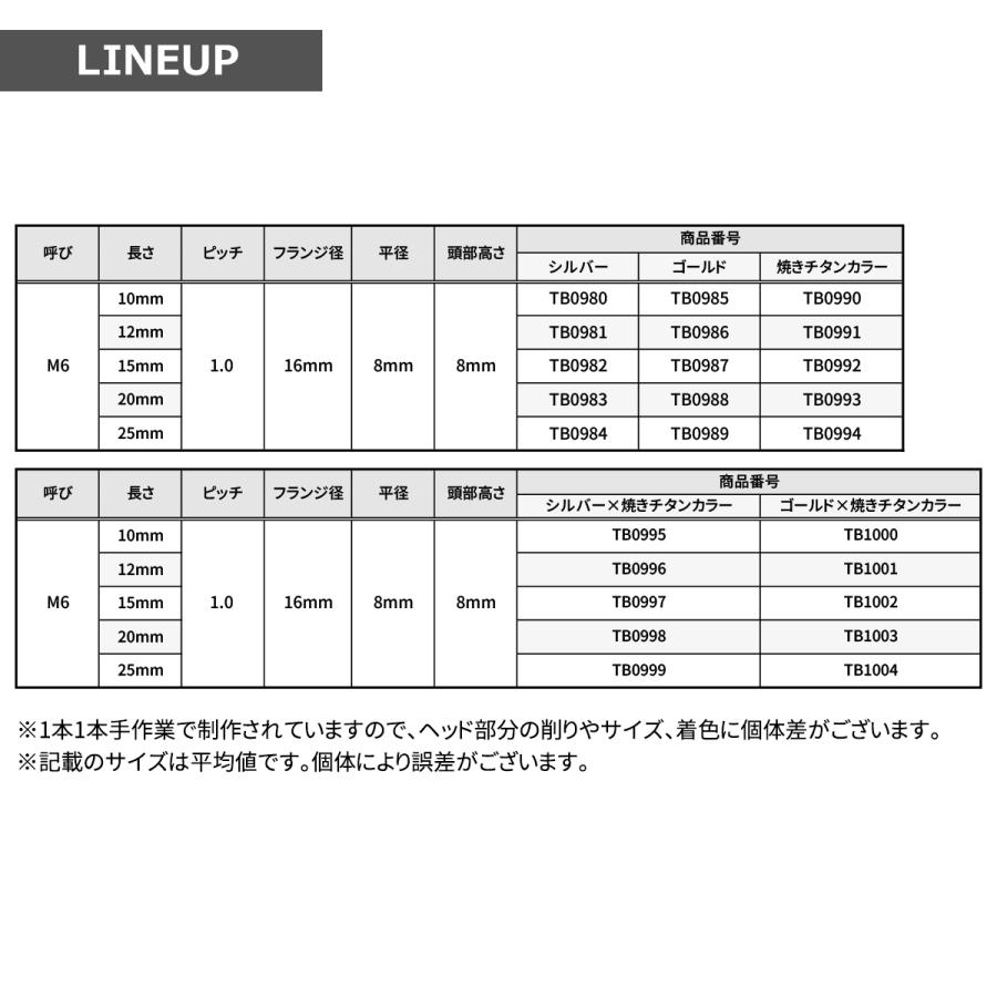 ステンレスボルト M6×15mm P1.0 六角ボルト ワイドフランジ スターフラワーヘッド ゴールド×焼きチタンカラー TB1002 | TECHーMASTER | 02