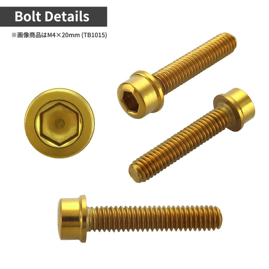 ステンレスボルト M4×15mm P0.7 スリムヘッド キャップボルト ゴールドカラー TB1014 | TECHーMASTER | 01
