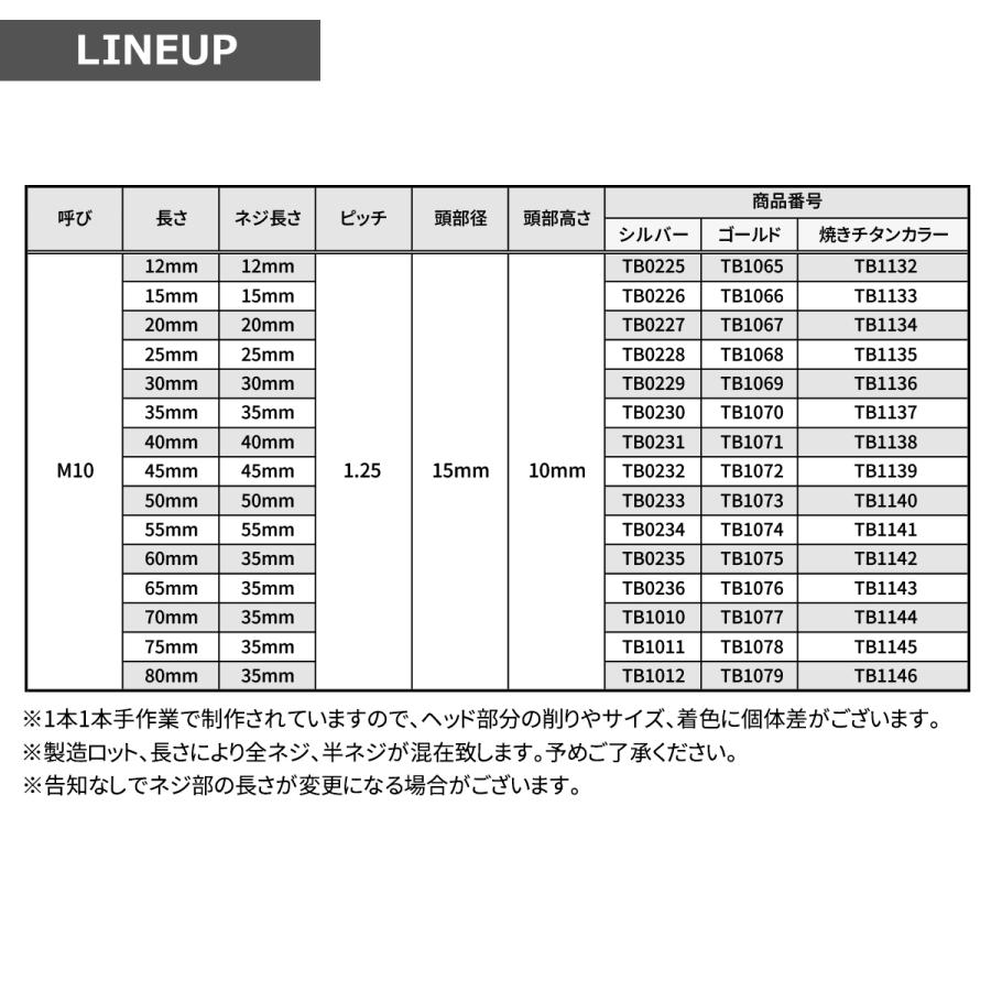 はしページ TECHーMASTER（テックマスター） ステンレスボルト M10×55mm P1.25