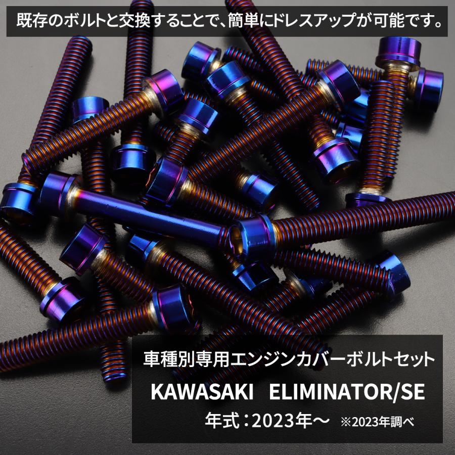 カワサキ（Kawasaki） エリミネーター/SE エンジンカバー クランク