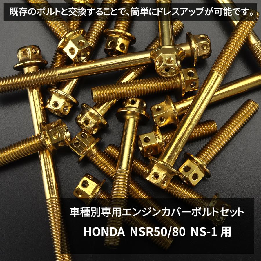 TECHーMASTER（テックマスター） NSR50/80 NS-1 エンジンカバー