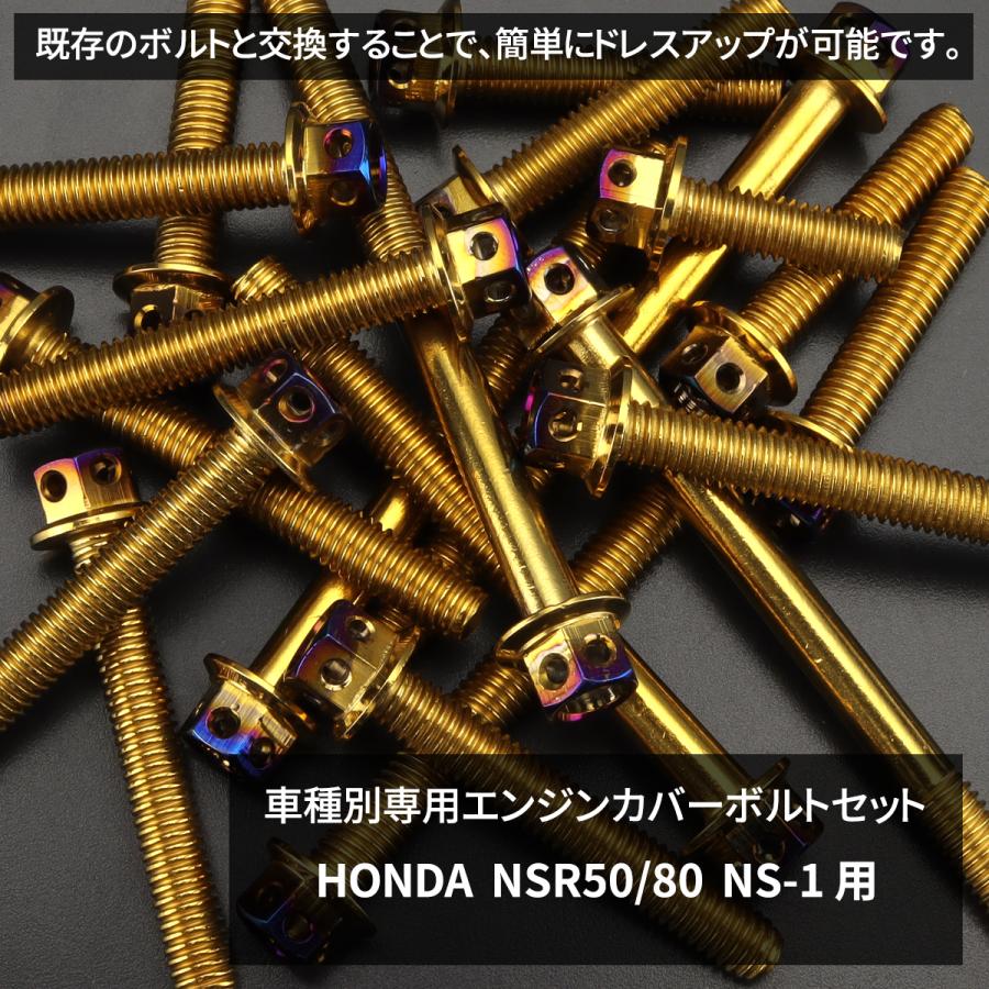 NSR50 NSRmini NS50F NS50R Lクランクケース TECHーMASTER（テックマスター） NSR50/80 NS-1 エンジンカバー