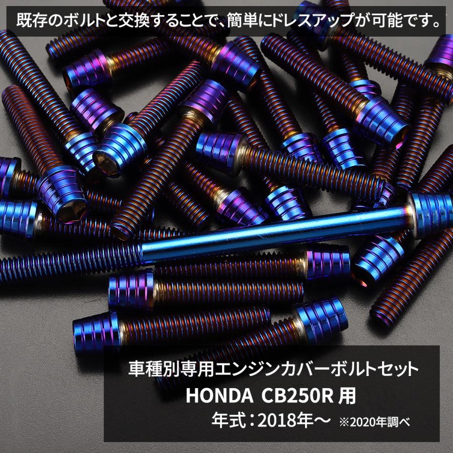 専用品 TECHーMASTER（テックマスター） CB250R エンジンカバー クランク