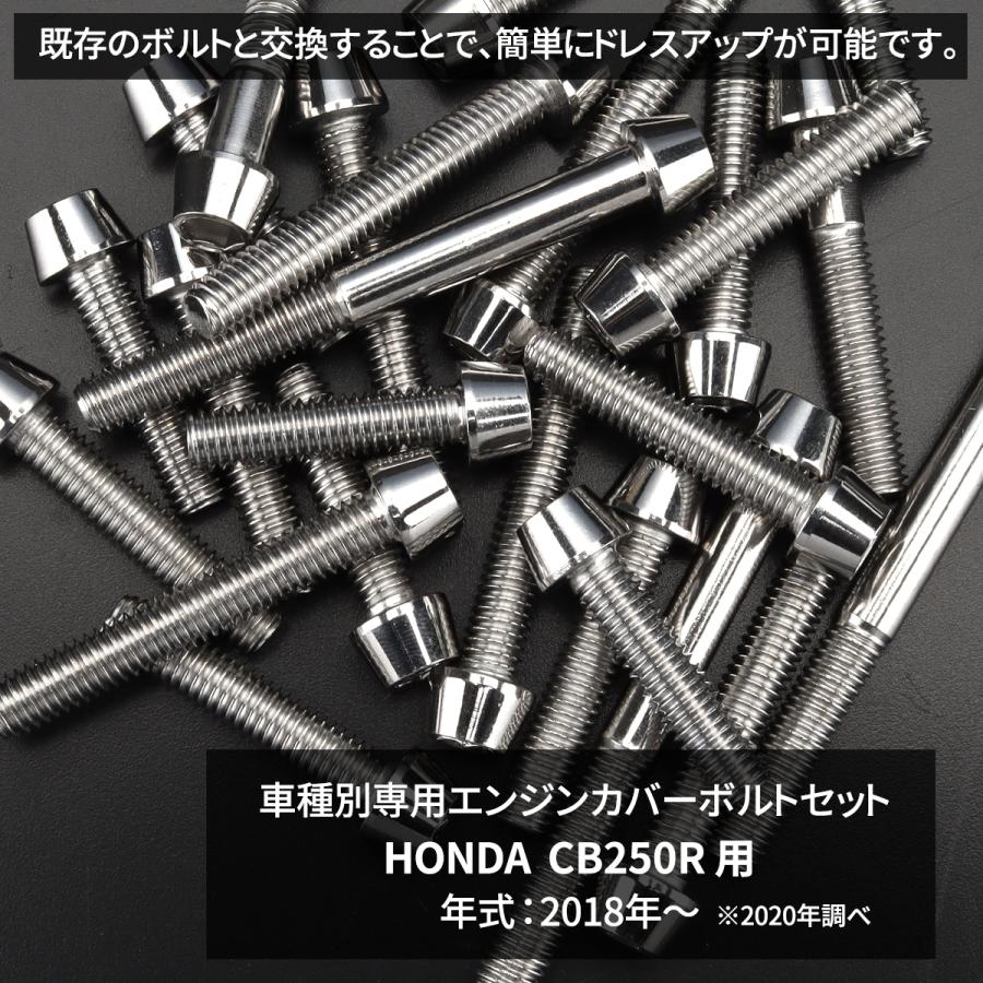 専用 TECHーMASTER（テックマスター） CB250R エンジンカバー クランク