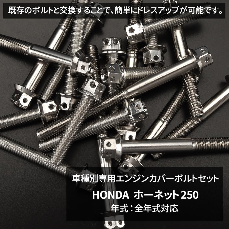 専用 TECHーMASTER（テックマスター） ホーネット HORNET エンジンカバー