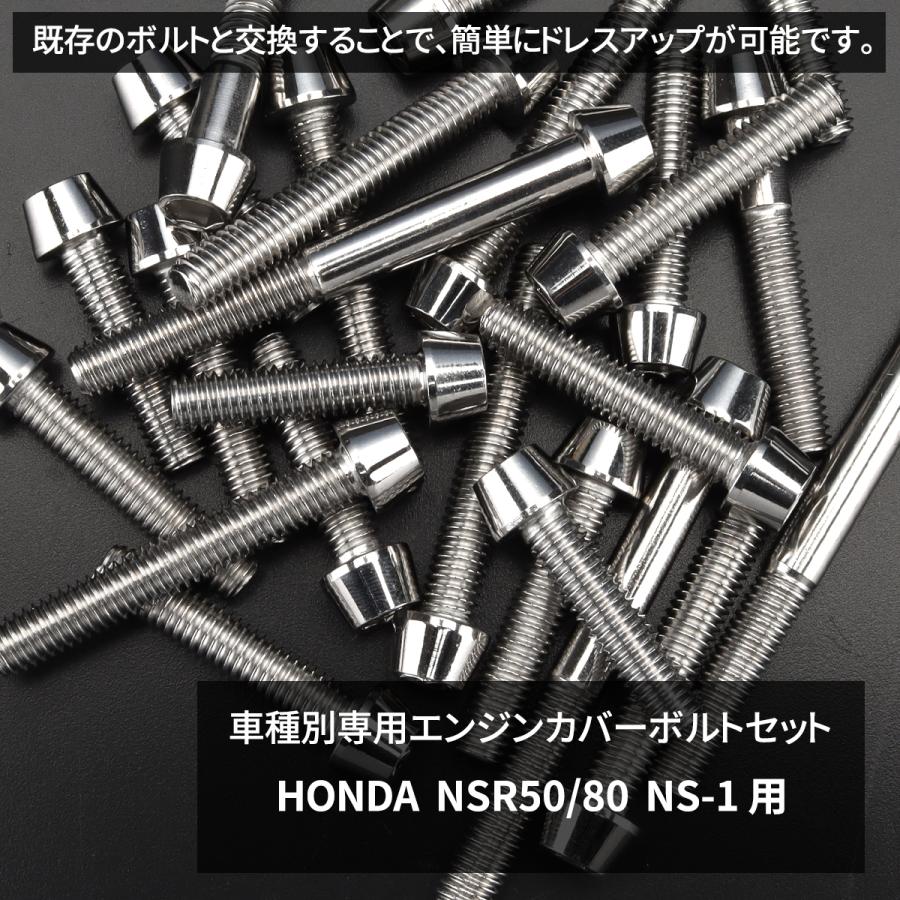 TECHーMASTER（テックマスター） NSR50/80 NS-1 エンジンカバー