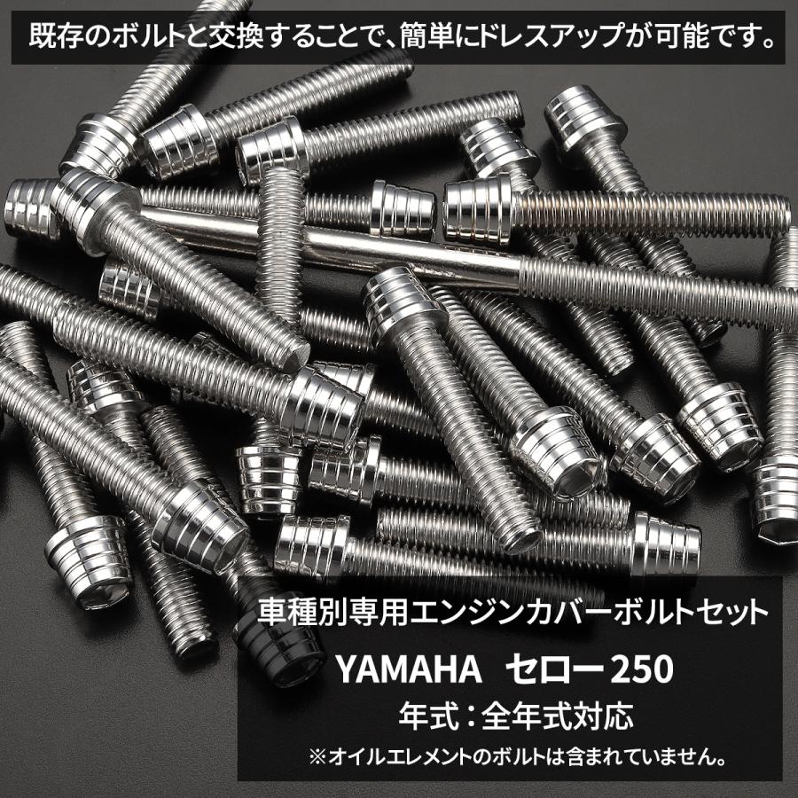 TECHーMASTER（テックマスター） セロー250 エンジンカバー クランク