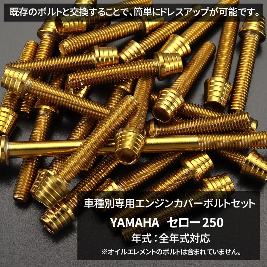 ピット　2つセット売り ゼット（ZETT）（メンズ）野球 キャッチャー防具4点セット