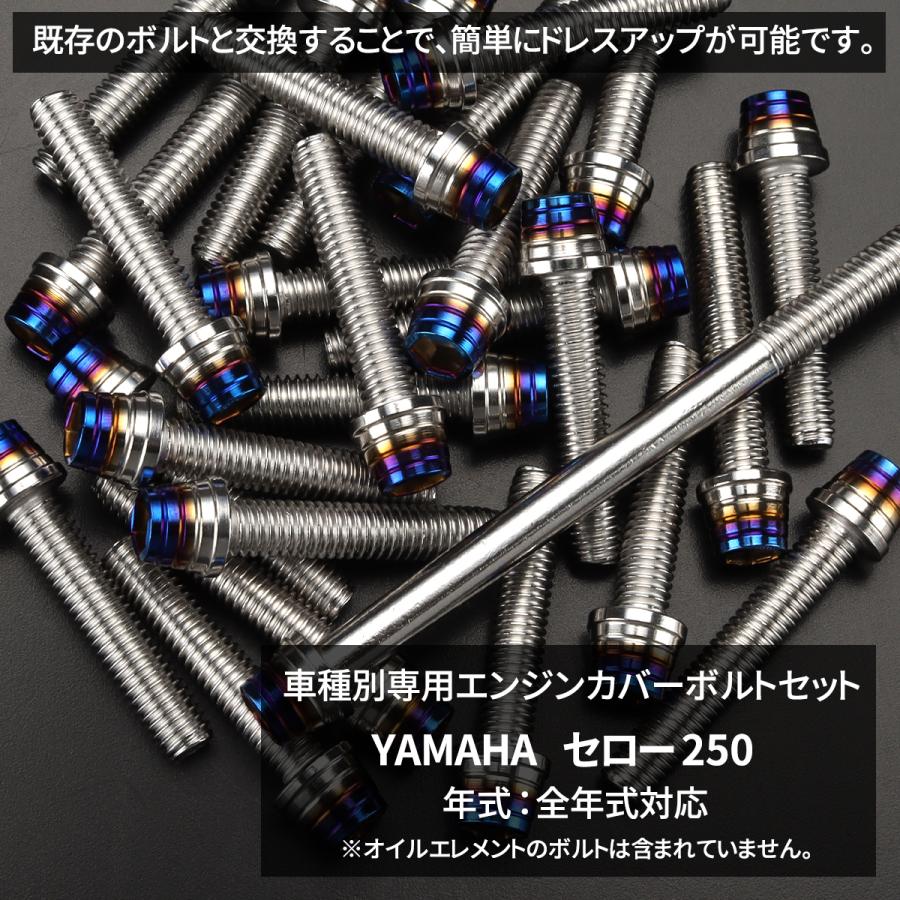 ACE出品 セキセイ F828650-AZ-2175 クリアポケット フタ付き A4 100枚