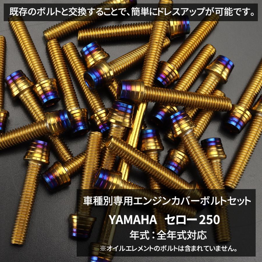 YAMAHA セロー250 エンジンカバー クランクケース ボルト 28本