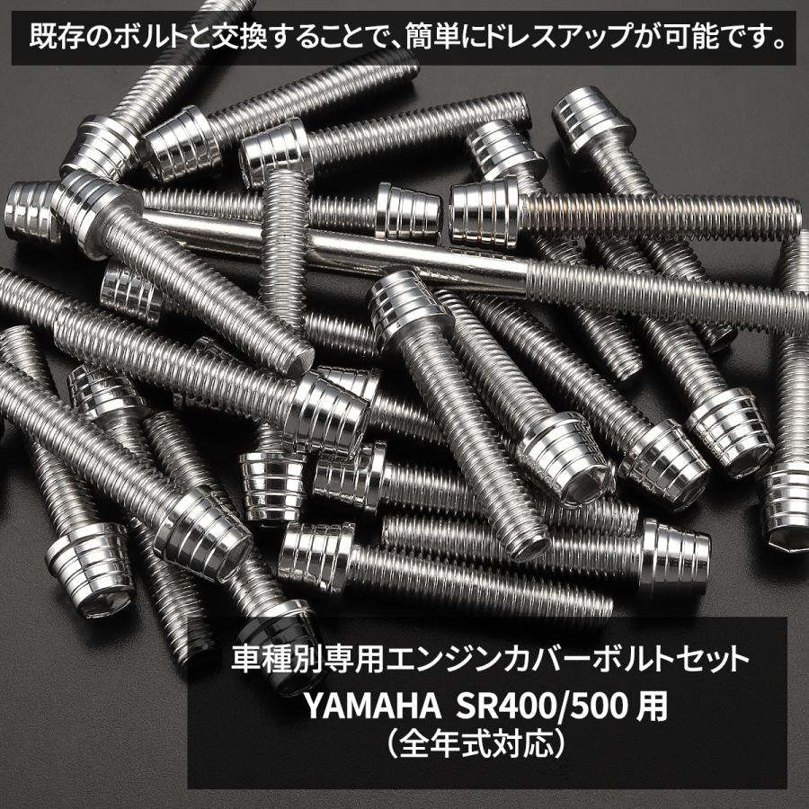sr400 スケルトン　クランクケースカバー　左右セット YAMAHA SR400 SR500 エンジンカバー クランクケース ボルト 20本