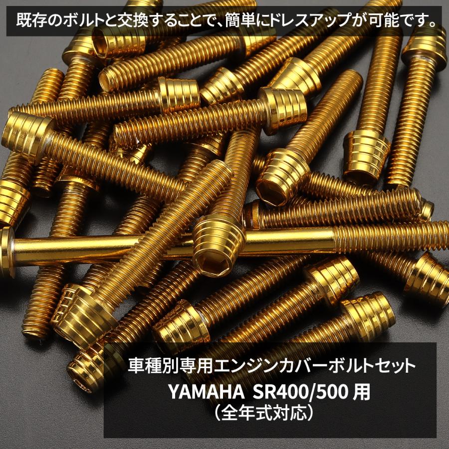 Sr400 Sr500 エンジンカバーボルト 本セット ヤマハ車用 テーパーヘッド ゴールド Tb7114 ふるさと割