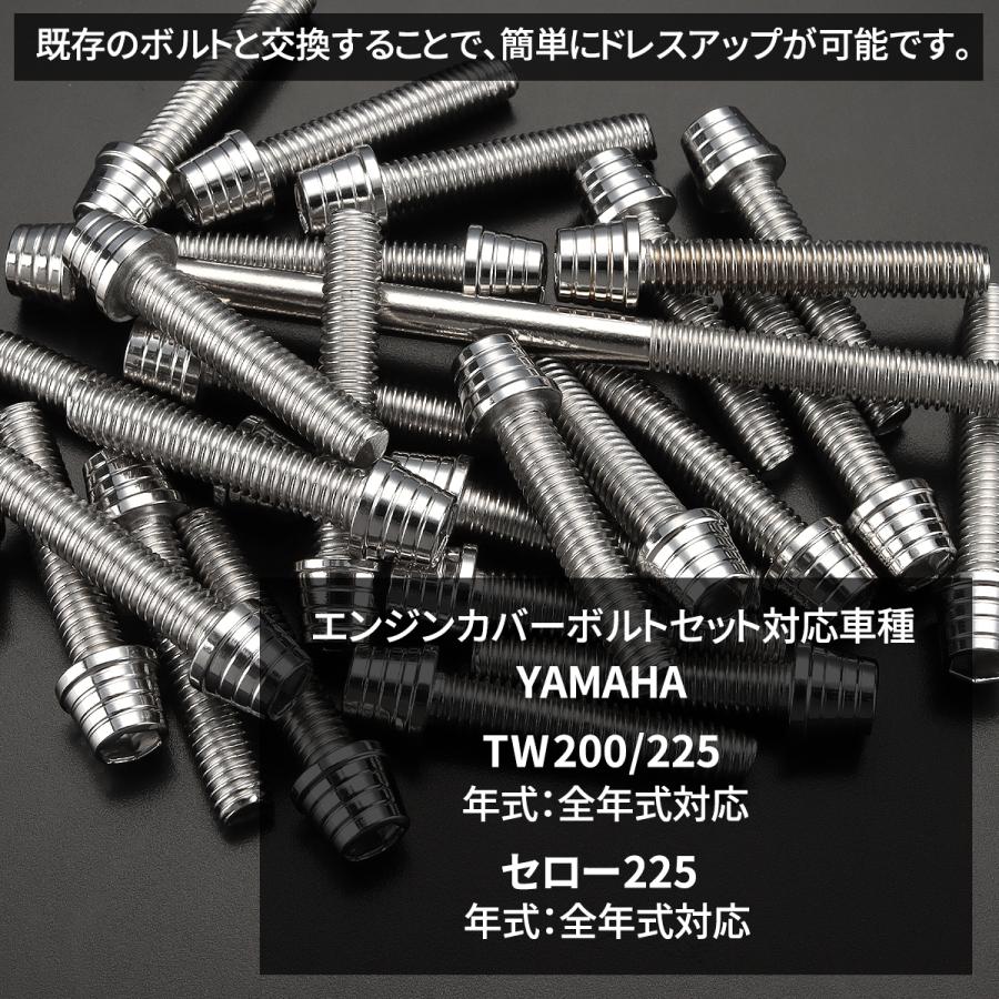 YAMAHA TW200/225 セロー225 エンジンカバー クランクケース