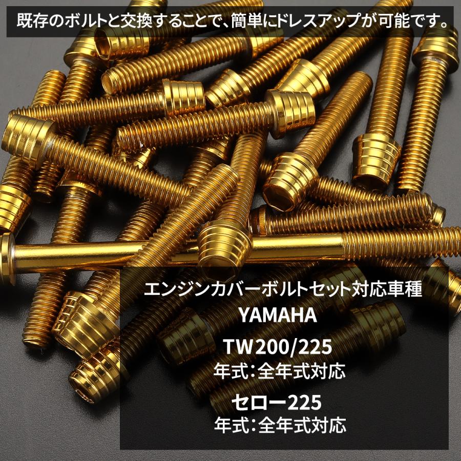 TECHーMASTER（テックマスター） TW200/225 セロー225 エンジンカバー