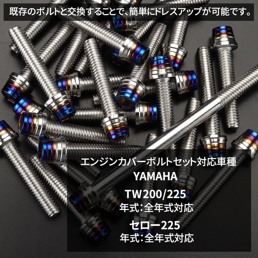 YAMAHA TW200/225 セロー225 エンジンカバー クランクケース ボルト 22