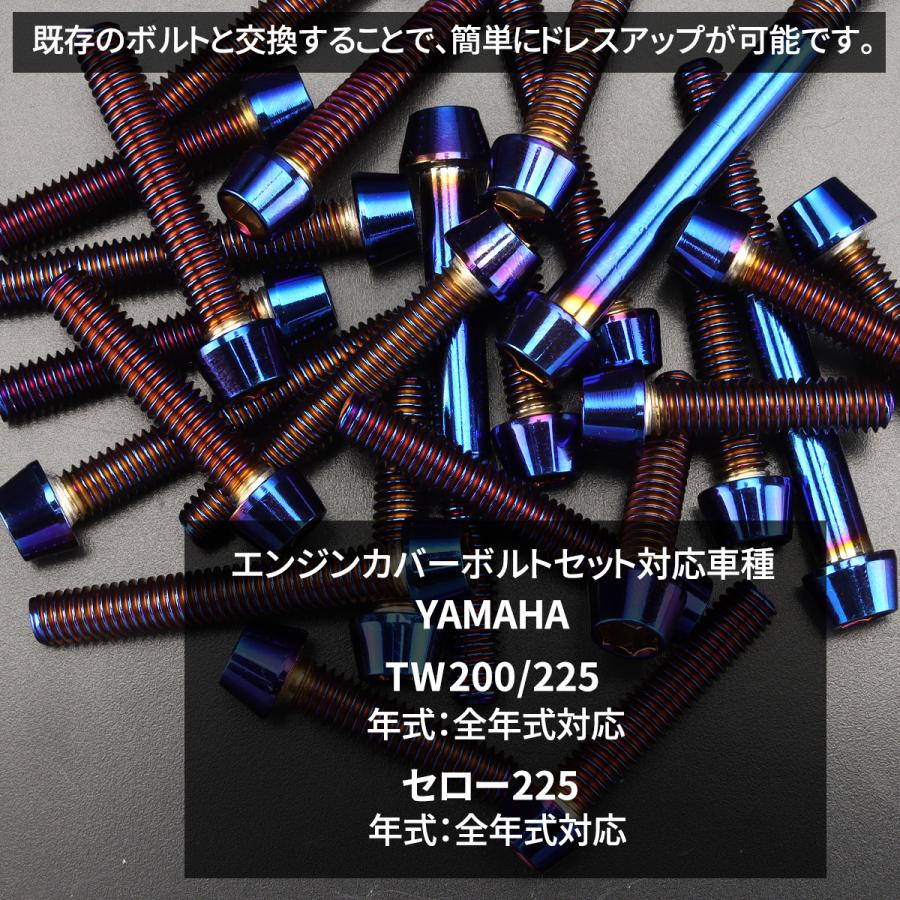 TW200/225 セロー225 エンジンカバー クランクケース ボルト 22本セット ステンレス製 ヤマハ車用 焼きチタンカラー TB7160｜tmst｜02