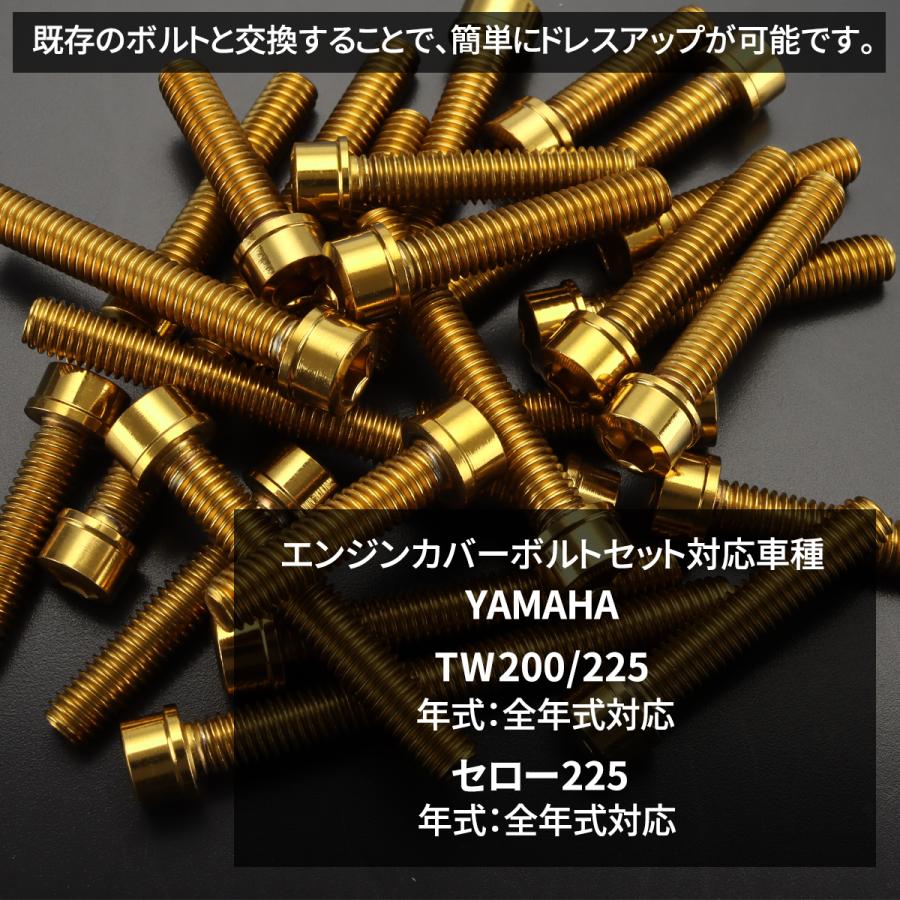 TECHーMASTER（テックマスター） TW200/225 セロー225 エンジンカバー