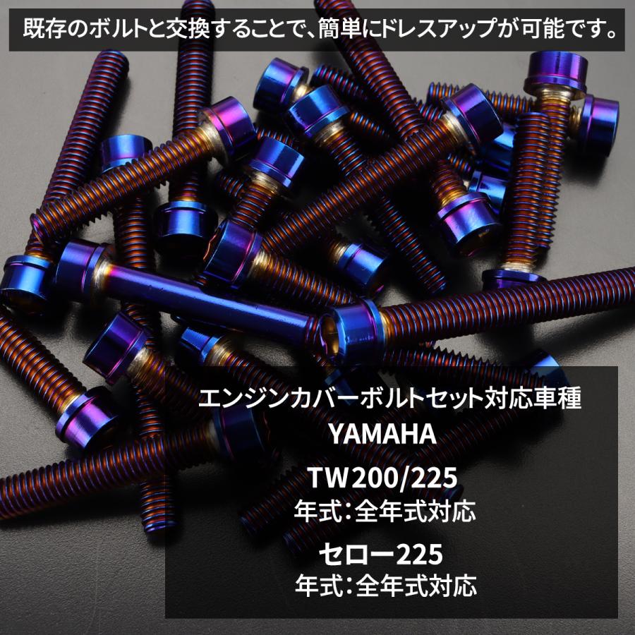 TECHーMASTER（テックマスター） TW200/225 セロー225 エンジンカバー