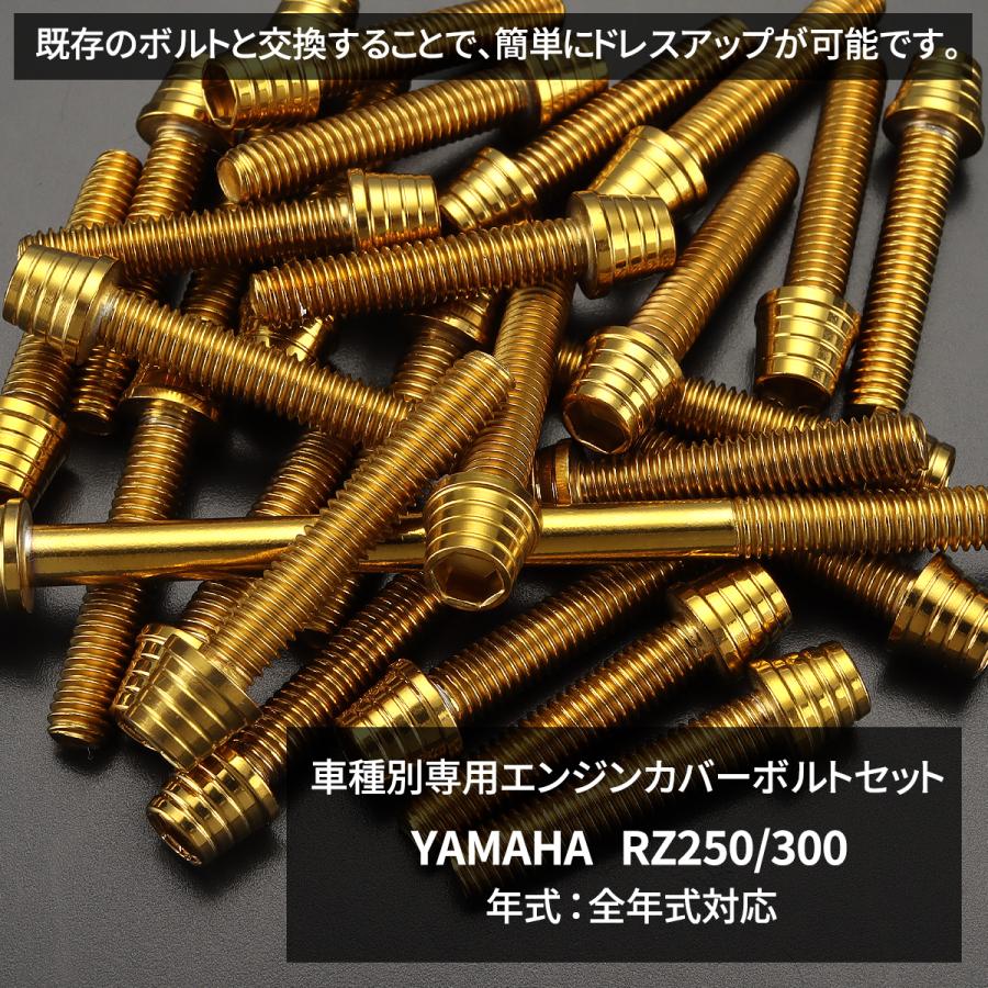 ヤマハ純正　RZ250(4L3)用　クランクケース　当時物‼️ TECHーMASTER（テックマスター） RZ250/350 エンジンカバー クランク