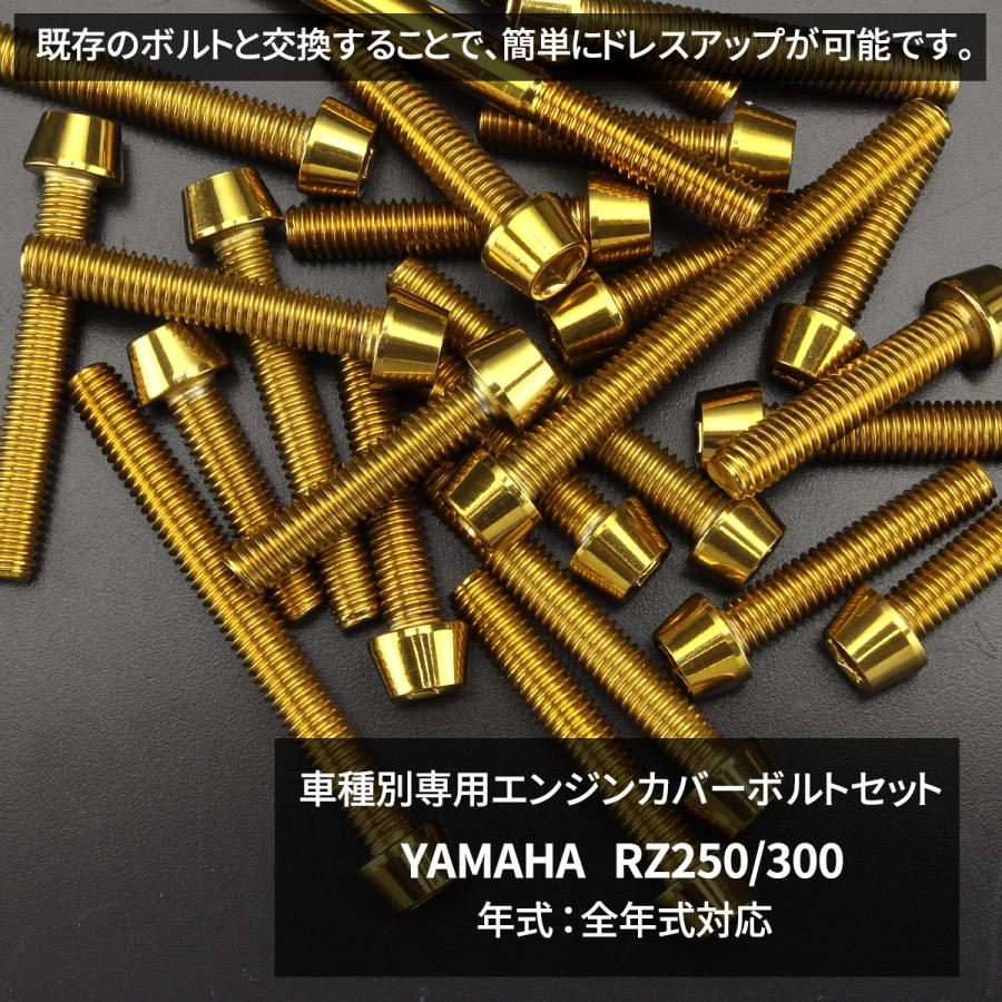 TECHーMASTER（テックマスター） RZ250/350 エンジンカバー クランク
